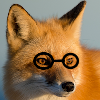 Foxy Scout